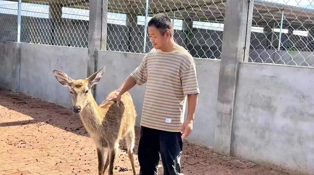 大发黄金版客户端